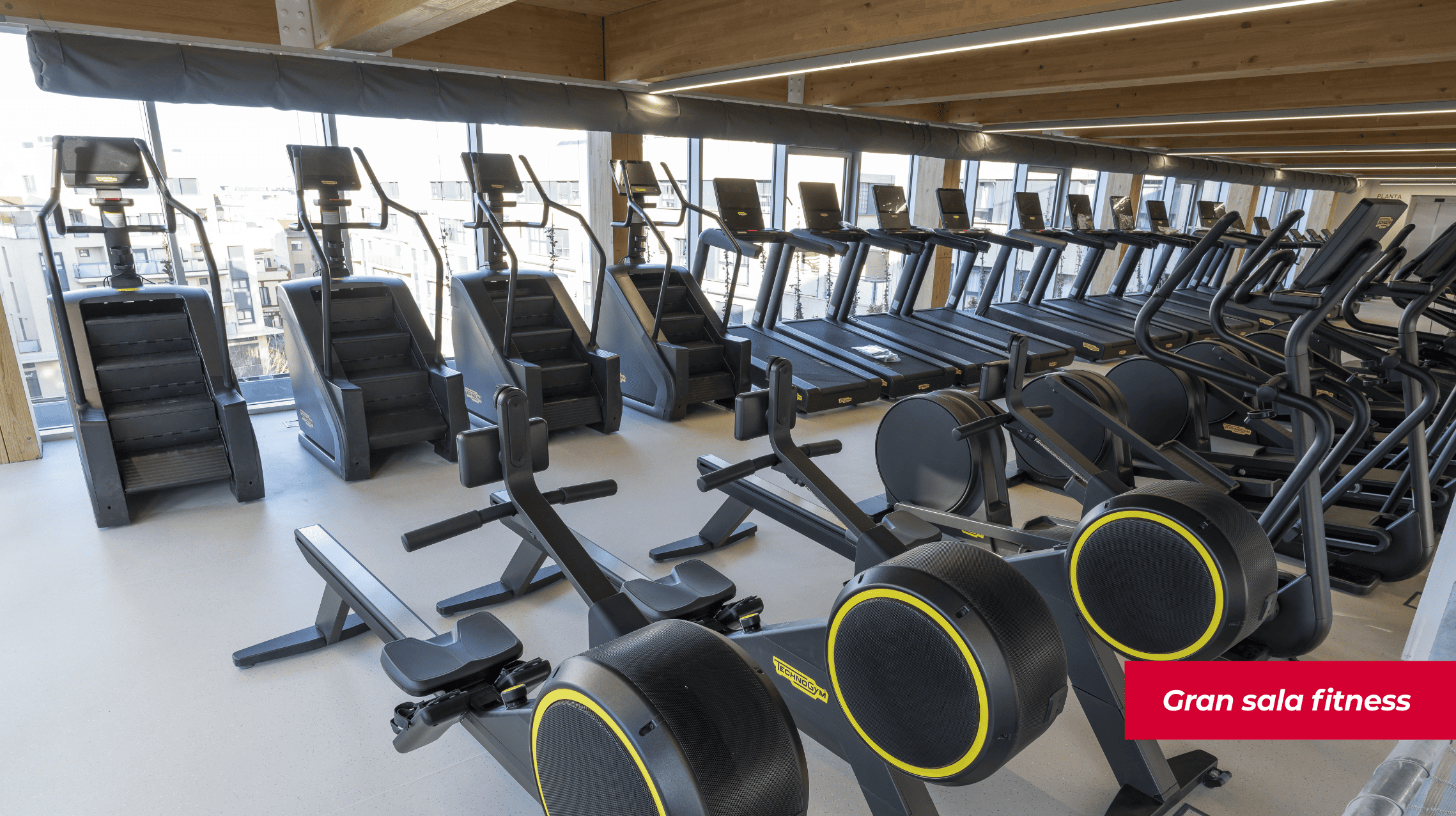 786019929-s-fitness-1