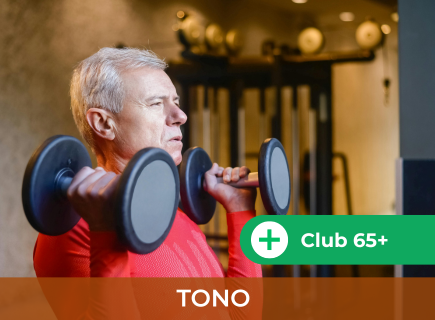Fuerza 65+